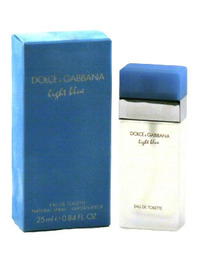 Dolce & Gabbana Light Blue Ladies EDT Spray - .8 OZ