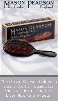 Mason Pearson Brushes