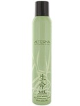 Alterna Life Volumizing Spray Mousse