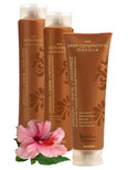 Brazilian Blowout Gift Set #1