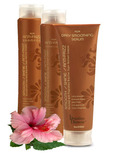 Brazilian Blowout Gift Set #2