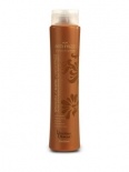 Brazilian Blowout Acai Anti-Frizz Conditioner 12 oz.