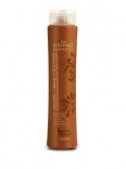 Brazilian Blowout Acai Anti-Frizz Shampoo 12 oz.