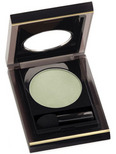 Elizabeth Arden Color Intrigue Eyeshadow: Limelight