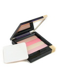 Estee Launder Chic to Cheek Shades Of Pink Powder