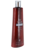 Graham Webb Daily Strength Strengthening Shampoo