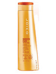 Joico Smooth Cure Shampoo