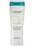 L'anza CP Anti-Aging White Tea Shampoo