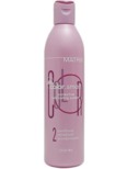 Matrix Biolage Color Smart Conditioner