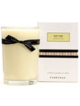 Paddywax Olive Tree Candle
