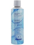 Phyto Phytargent Shampoo