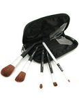 PurMinerals 5 Piece Lucite Brush Collection (Black Handle)