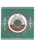 Roger & Gallet Vetyver Soap