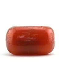 Earth Source Soap - 3.3oz