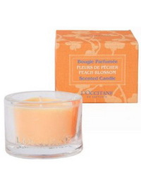 L'Occitane Peach Blossom Scented Candle - 3.5oz