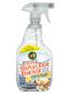 Earth Friendly Everyday Stain & Odor Remover