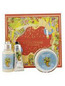 L'Occitane Shea Vanilla Star Kit