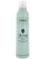 Terax Silk Foam Styling Mousse